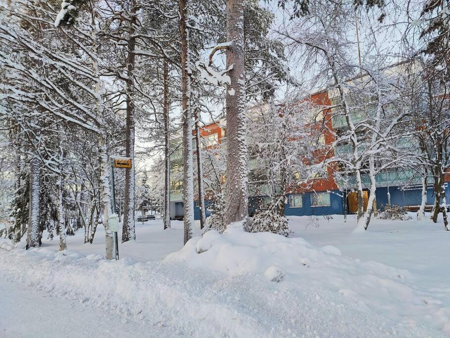 Spacious Apartment With Balcony And Free Wifi Rovaniemi Dış mekan fotoğraf